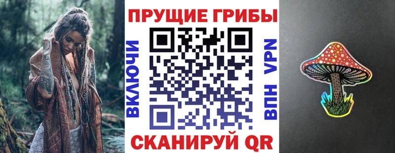 Псилоцибиновые грибы Psilocybine cubensis  магазин    Сенгилей 