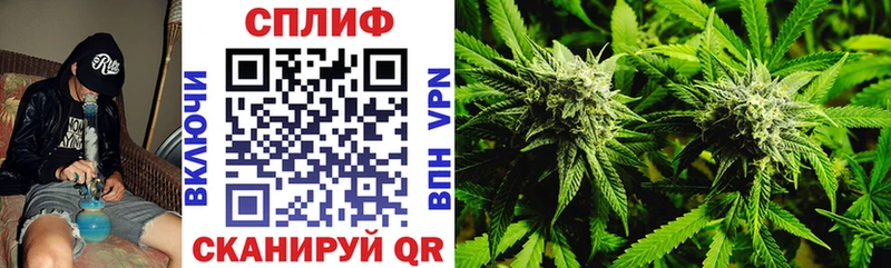 Бошки Шишки план  Сенгилей 